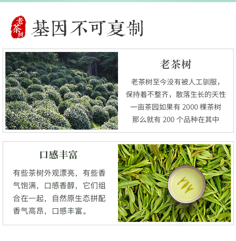 梅府茗家 2023年新茶 雨前二级 醇香龙井茶 250g 天猫优惠券折后￥78包邮（￥118-40）