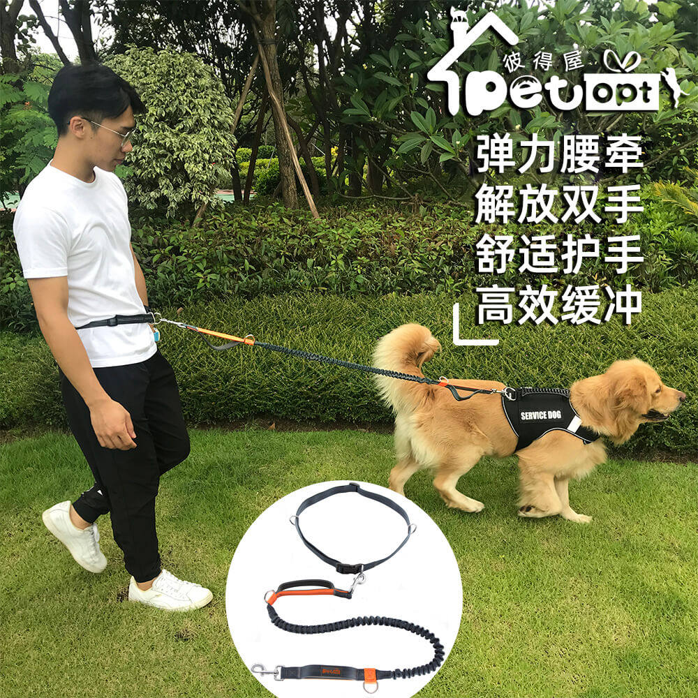PETOPT outlet Puppy running traction rope waist holding movement for walking in dog rope elastic reflective explosion-proof punching dog rope