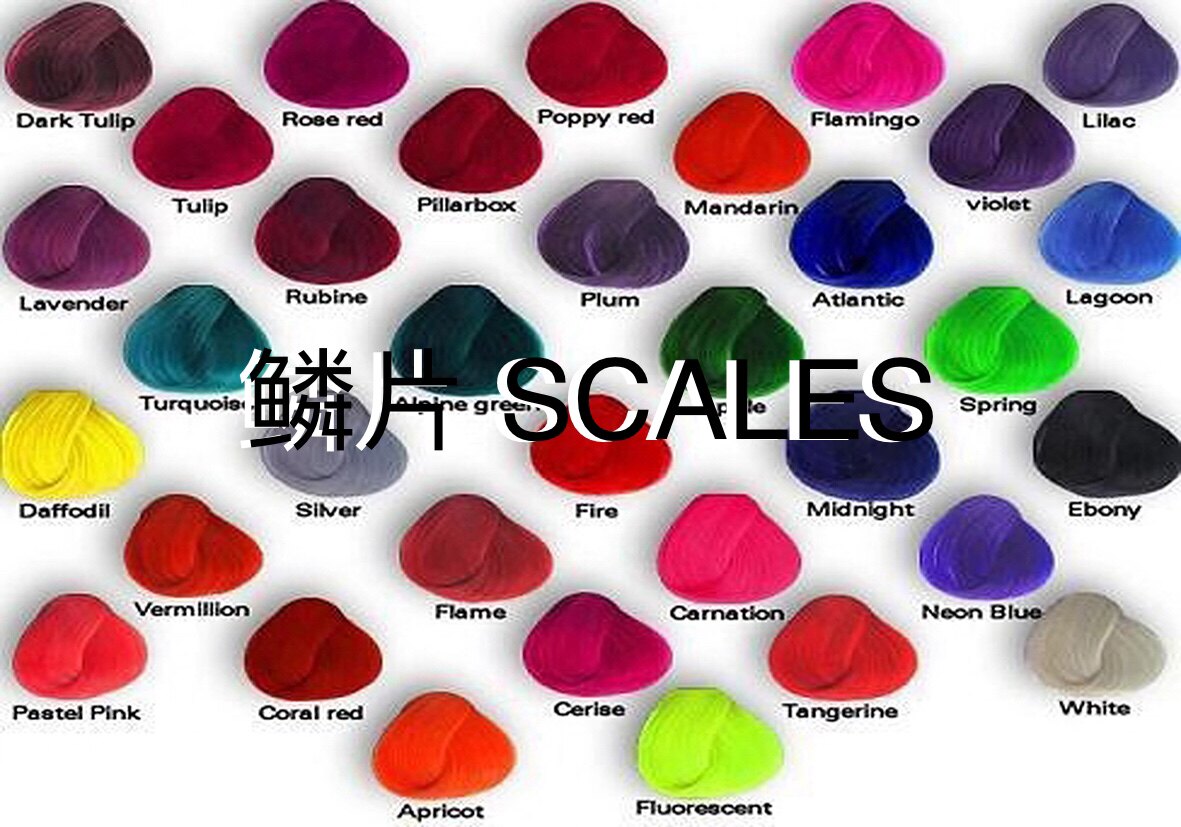 鳞片 SCALES的LOGO