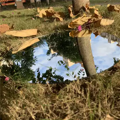 Self-adhesive plastic mirror non-shattered mirror wall shake sound children plastic safety plastic mirror non-glass safety plastic mirror