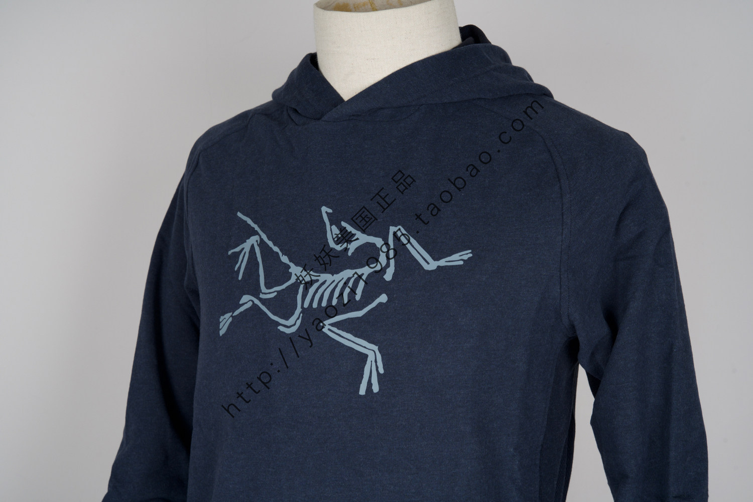 archaeopteryx pullover hoody