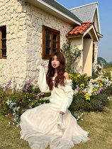 Today on gentle milk apricots color high waist a half body dress woman mid length irregular mesh dress with large hem umbrella skirt