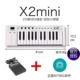 x2 mini
