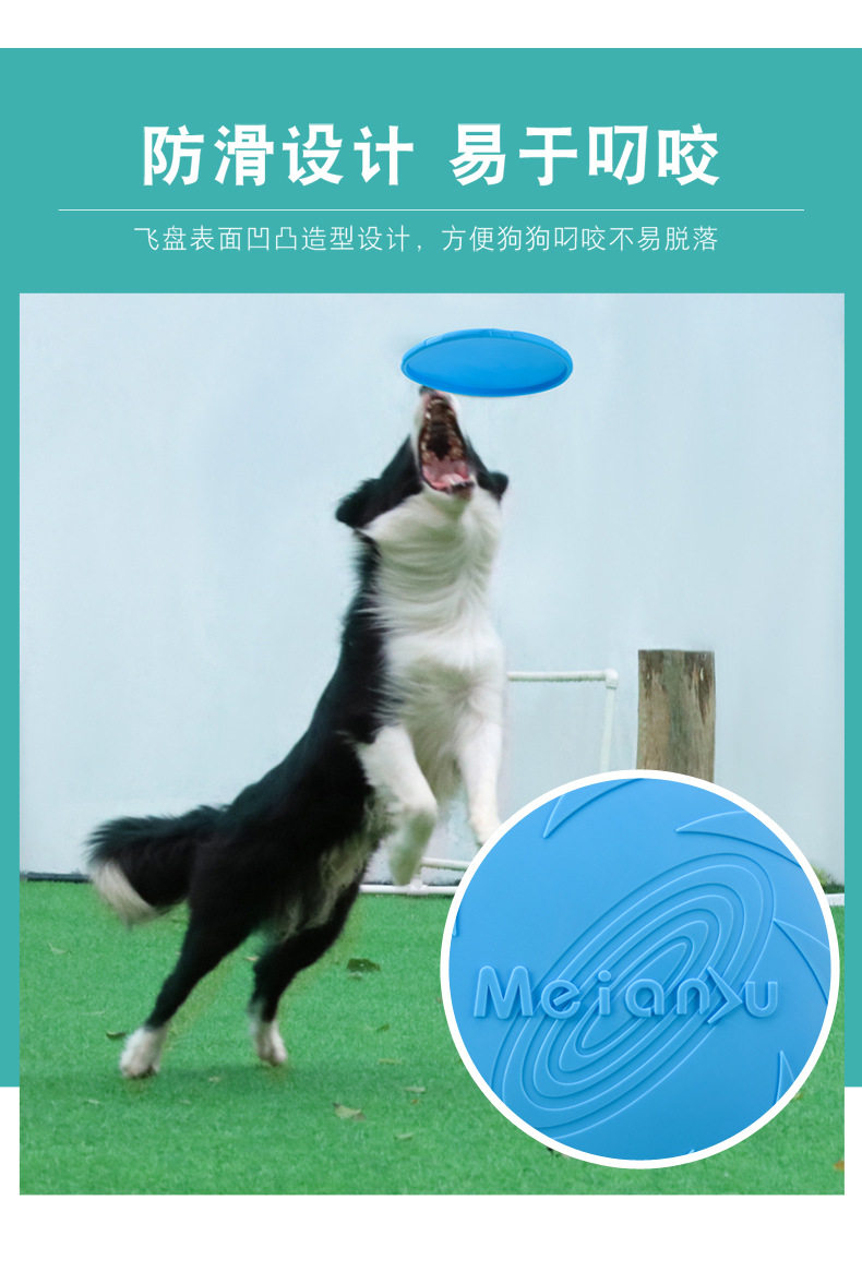 Dog Flying Tray_05.jpg
