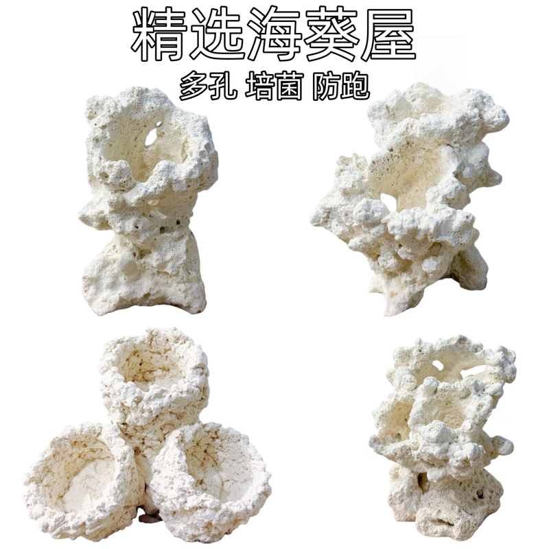 【Plant Source】Anemone House Pacifier Cup Anti-Runaway Device Fine Pottery Coral Seawater Tank Landscaping Decoration Fixation 【Plant Source】Anemone House Pacifier Cup Anti-Runaway Device Fine Pottery Coral Seawater Tank Landscaping Decoration Fixation