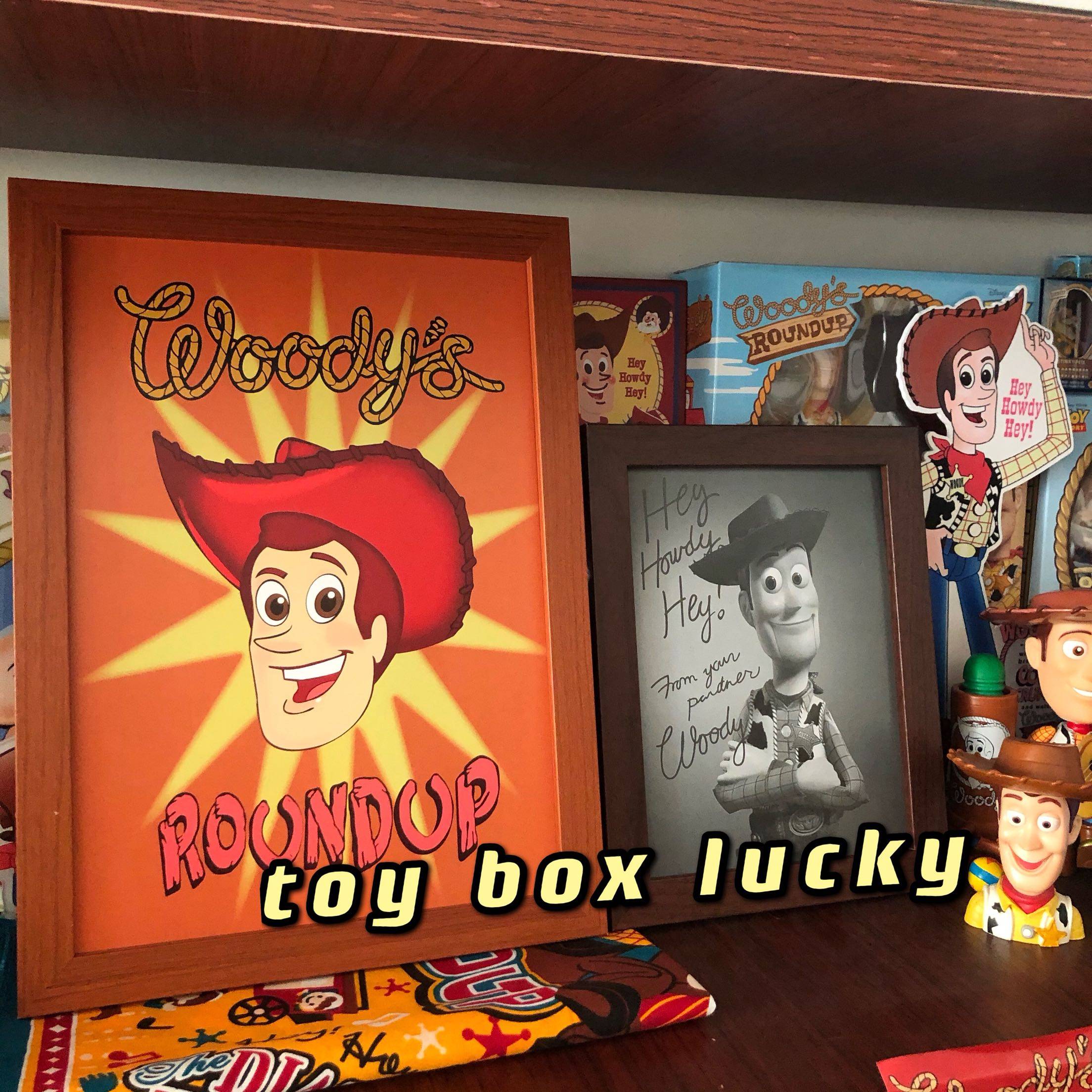 Toy Story Woody Cowboy Show Poster