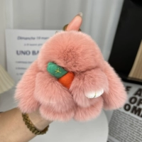 Пассажирский пассажирский кролик