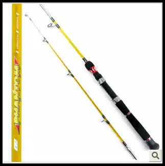 The fishing head pulls the big fish 1 3 meters transparent solid two-section Pole Pole, the Sea Pole, the fishing gear fishing rod