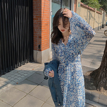 Dress womens spring and summer new gentle wind 2021 spring French temperament small skirt Hepburn style first love sweet skirt
