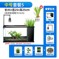 Середина -NO. 5 (отправка болота Iris)