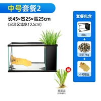 Середина -NO. 2 (отправка болота Iris)