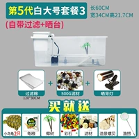 Три 5-го поколения-байя (освобожденная вода для воды) Отправить 2 черепах ★ Рекомендуется ★