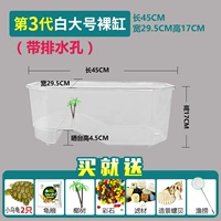 3-го поколения белого большого обнаженного цилиндра (отправить 2 черепахи+большой подарочный пакет)