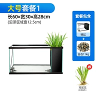 Большая пакет (отправка болота Iris)