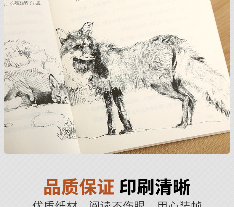 沈石溪动物小说合集 10册 图9