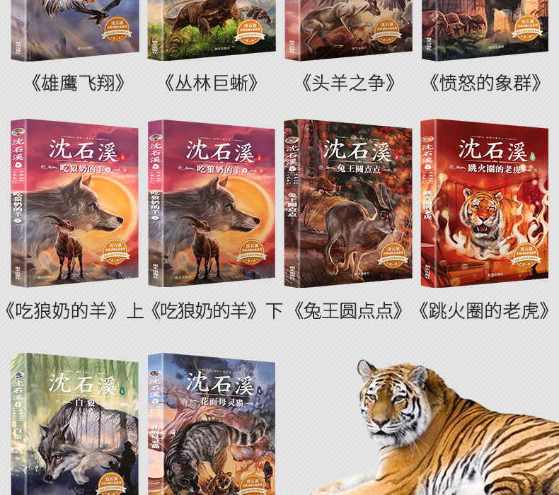 沈石溪动物小说合集 10册 图6