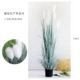 № 11 [Dai Green Reed High 180cm]