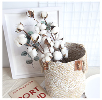 Small fresh artificial flowers 10 natural cotton branches Home decoration fake flowers dried flowers display flowers