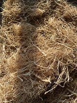 (Erya Selection) Forest Ginseng Wild Mountain Ginseng old slightly yellow in color full of ginseng flavor and sweet aftertaste