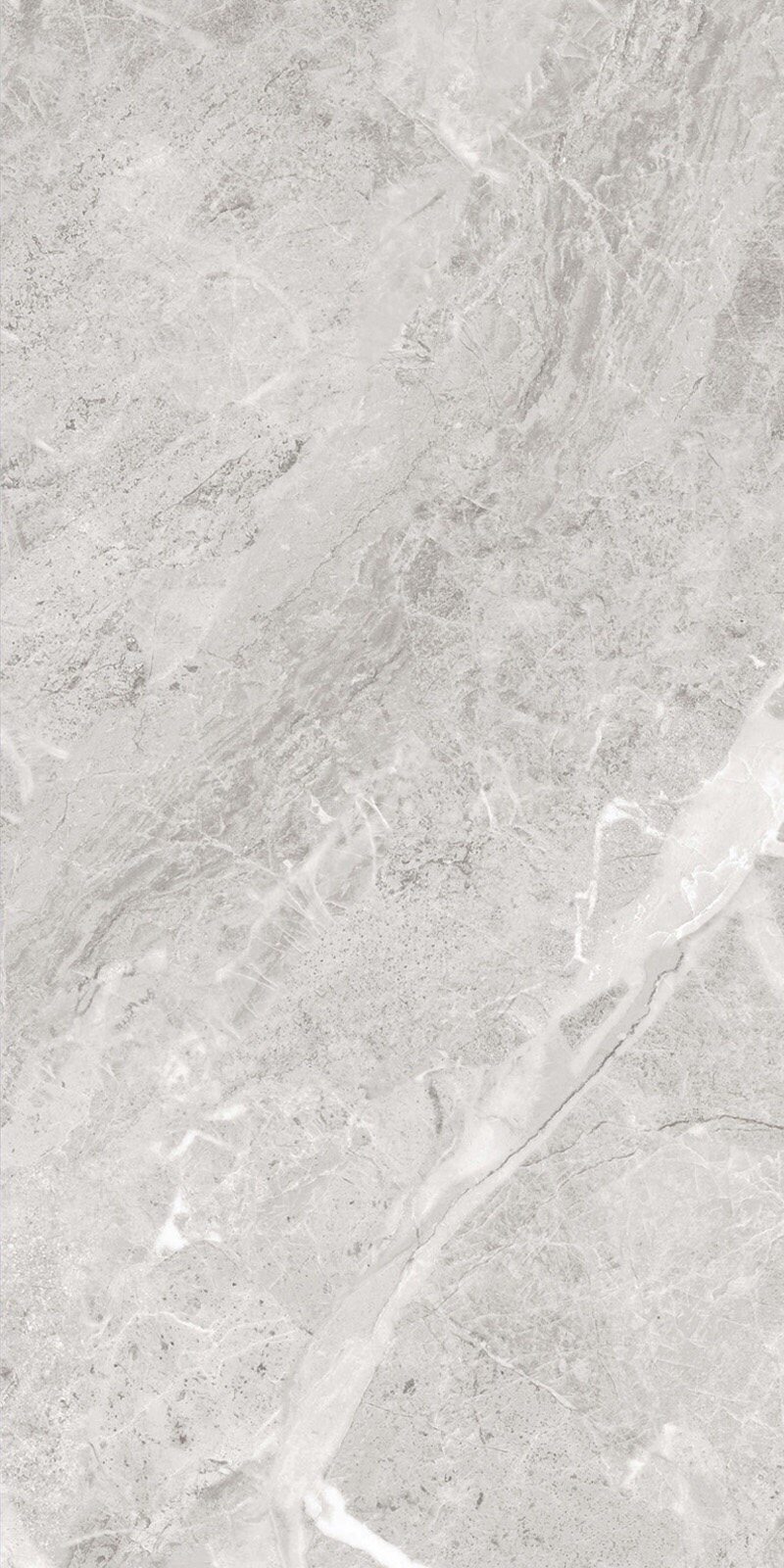 Nobel home economic modern minimalist net red popular casual light luxury wall and floor tiles RT619130