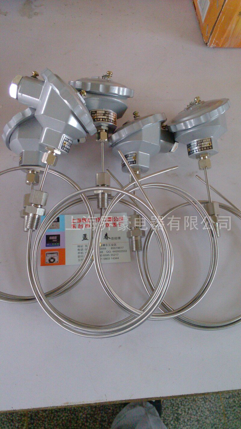 Armored thermocouple WRNK-131 231 331 K E J N T double 4-core armored non-standard custom