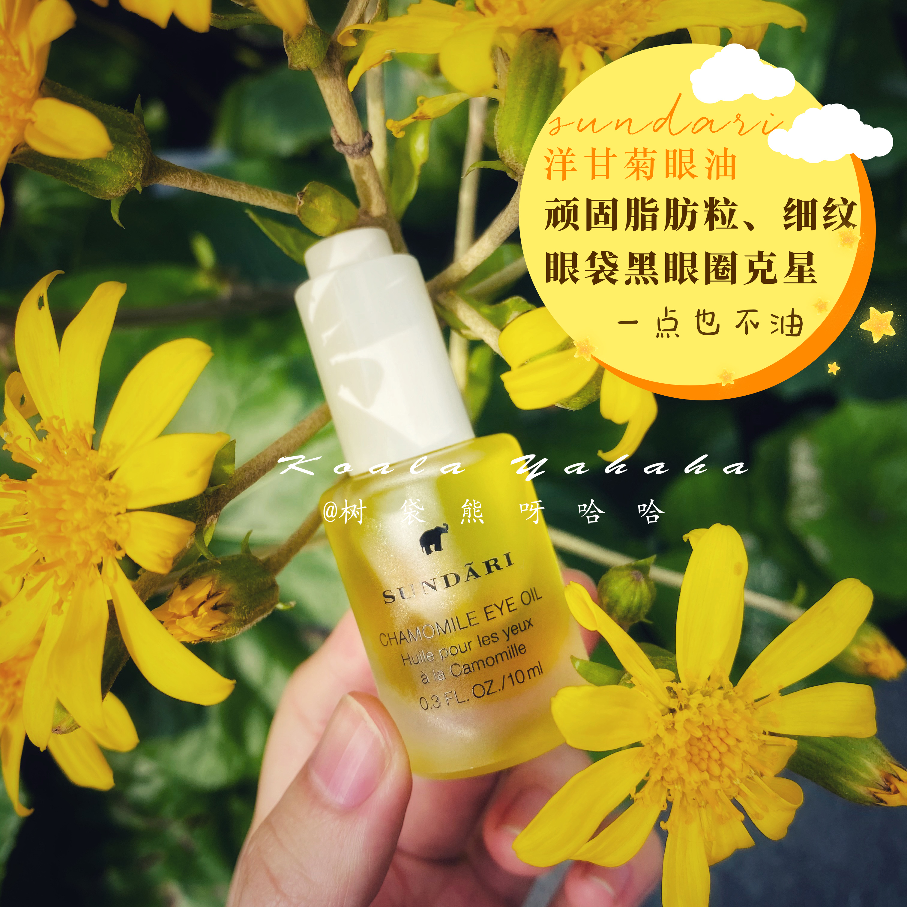 Tree Bags Bear Good Things Recommended ~ US sunderi Yangchamomile Eye essence Oil Desalinated Dry Grain 10ml