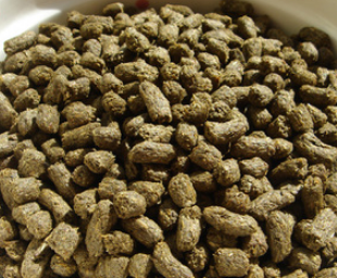 Two Bugs Rabbit Grain Dragon Cat Holland Pig Mixed Grain Split Trial Eating 500g