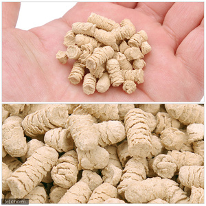 Daily Generation SANKO Pint High Small Animal Lactic Acid Bacteria Granules Conditioning Intestinal Split 5g