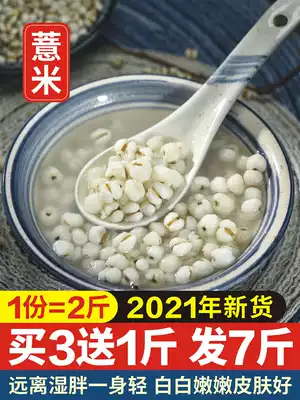 2021 new goods Guangxi farmhouse high-quality Alpine small coix rice barley grains than non-Pucheng