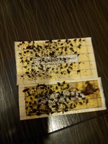 Official genuine direct sale: Methodist J27 special adhesive paper sticky insect plate 200 * 80200 * 120