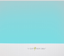 Special adhesive paper for a special paper