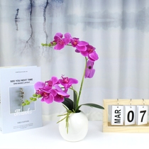 Simulation Butterfly Lan Fake Flower Suit Desktop Decoration Flower Home TV Cabinet Placement Flower Small Bonsai Table Small Potted Plant