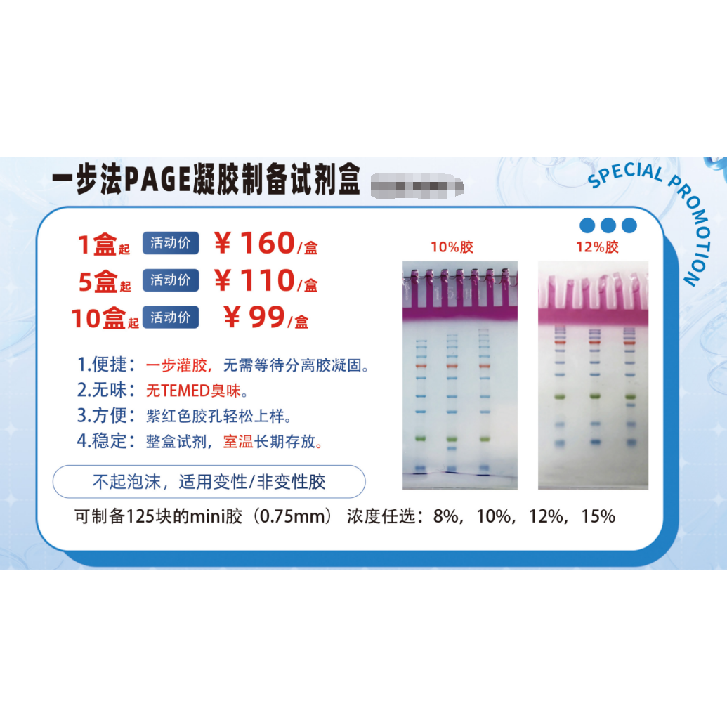 PAGE凝胶快速制备试剂盒  一步法PAGE凝胶制备试剂盒 蛋白电泳 WB