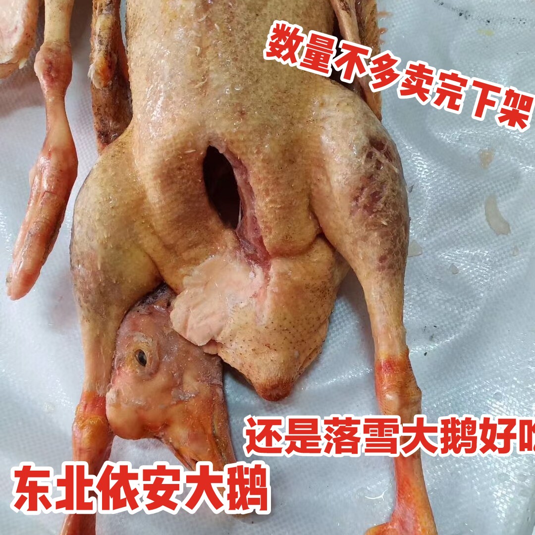 Northeast bulky goose old goose farmhouse loose with big goose old goose head with bag whole only 6 5 to 7 catties