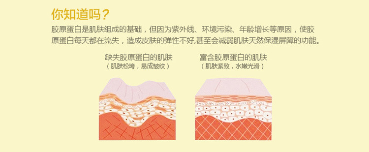 花慕蘭小甘菊護手霜滋潤手部骨膠原補水保溼嫩膚防幹凍裂淡香男女