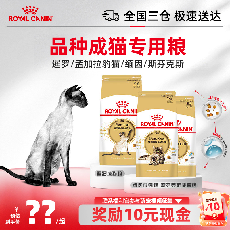 Royal Cat Food for Siamese Cats, Sphynx Cats, Bengal Cats, Maine  Cats, and Hairless Cats, Adult Cat Food, Complete Nutrition