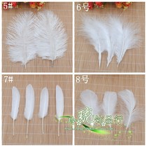 18 diy jewelry accessories Kindergarten material feathers White wedding feathers Turkey hair goose feather 50