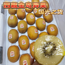 The Shunfeng of the Golden Chic of Tibet