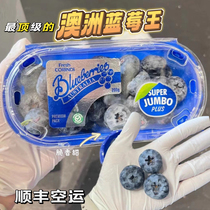 Australian Blueberry Big Mac Blueberry Eye Protector Crisp Sweet SF Air Freight