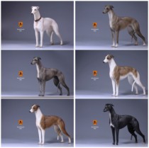 (Order discount)Mr Z 1 6 simulation animal 14th bullet Lingti dog Gree dog full set of 6