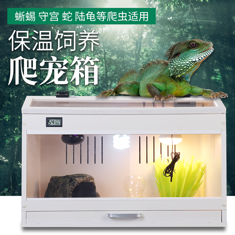 PVC Land Tortoise Lizard Lizard hedgehog Snake Patron mane Lions Rearing Box Climbing for Exotic Slopes Insulated thermostatic Custom Box