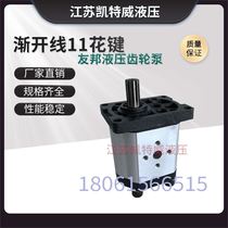 Gear pump CBN-G310 G306 G314 G316 G320 G325 spline 11 teeth AIA hydraulic oil