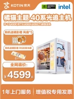 Jingtian huasheng orange Cat Rtx4060 хозяин