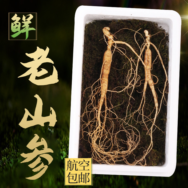 Aviation Changbai Mountain Fresh Mountain Ginseng Box Fresh with native Ginseng Lower Ginseng Ginseng Gift Boxes For Non Wild Hills