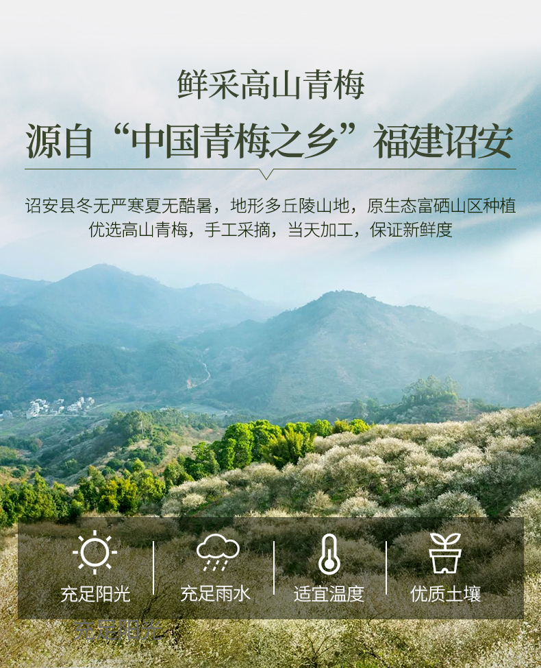 溜溜梅 和式梅饼 80g 图2