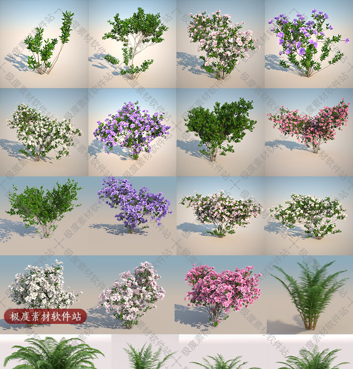 3dmax园林景观设计3D模型 3dsmax高精三维花草蕨类植物灌木素材库