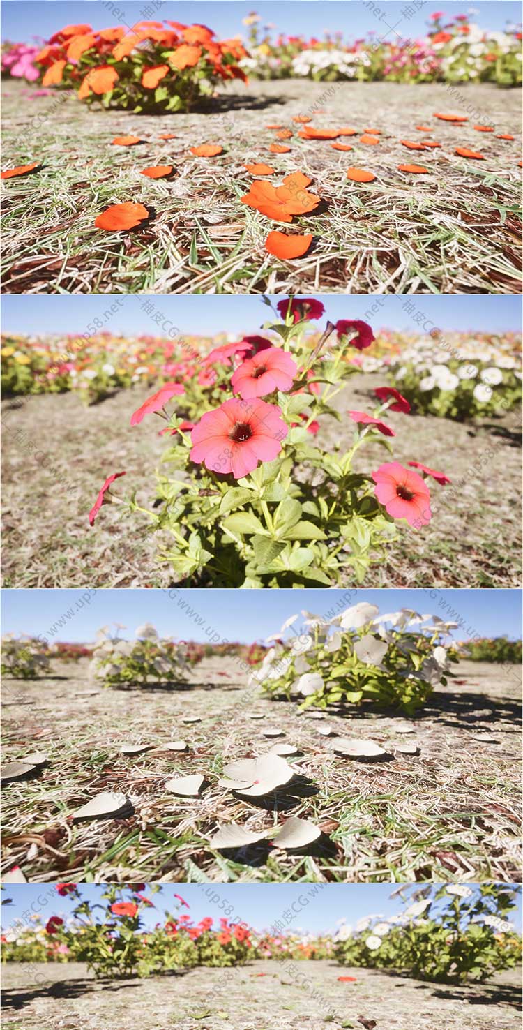 160+个Unreal Engine独特的游戏就绪鲜花花卉植物网格UE素材