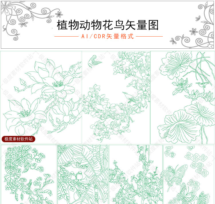 中国风植物动物花鸟AI CDR矢量图案 工笔国画画谱插画素材库