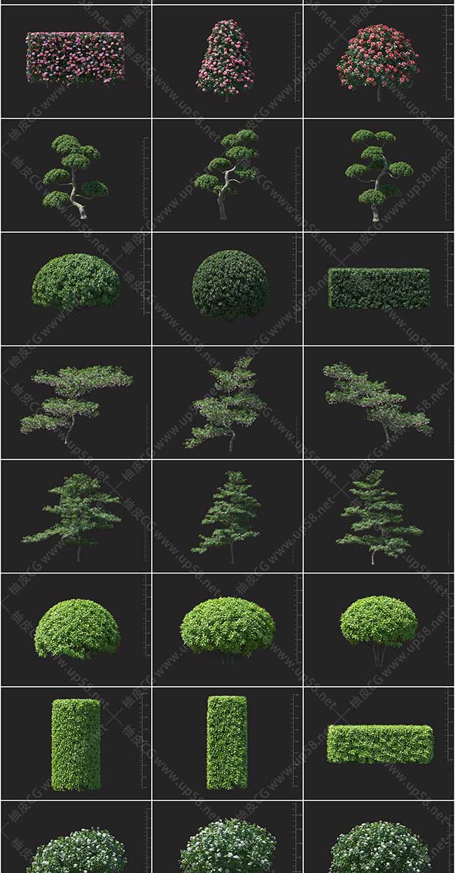 3DSMAX山茶冬青麦冬杜鹃五味子鸡冠花精细3D植物模型