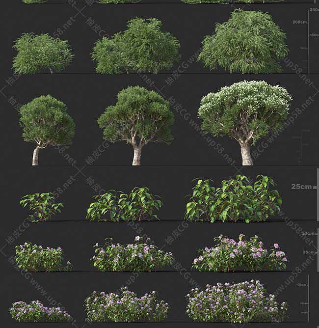 3DSMAX / VRay / Corona园林树木草类植物高质量3D模型